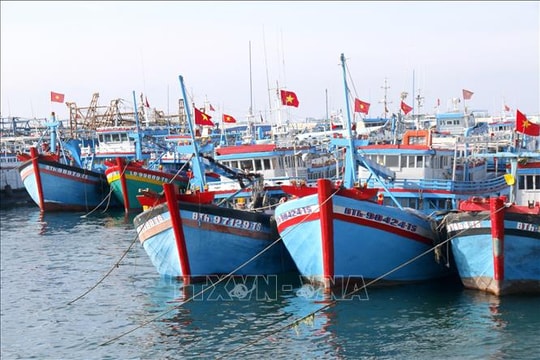 Lâm Đồng chỉ đạo khẩn trương khắc phục tồn tại trong chống khai thác IUU