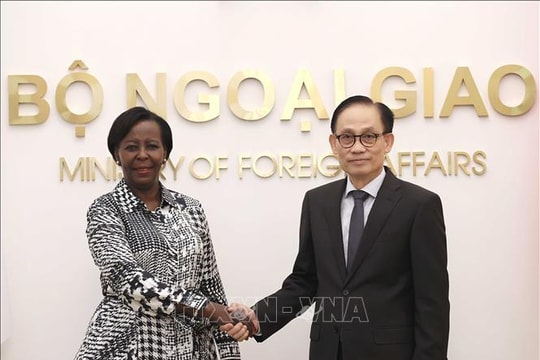 Bộ trưởng Ngoại giao Lê Hoài Trung hội đàm với Tổng Thư ký Pháp ngữ