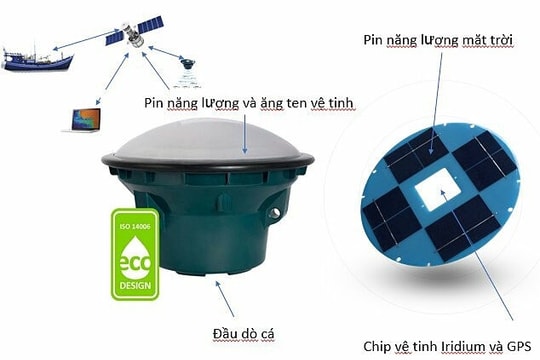 Những nghiên cứu thắng giải qua 4 mùa Sáng kiến Khoa học