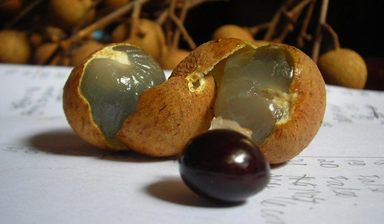 Loại quả quen thuộc khiến bé chưa đầy 2 tuổi nguy kịch, nhiều phụ huynh vẫn chủ quan