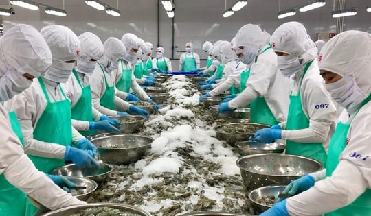 Xuất khẩu tôm khởi sắc đầu năm