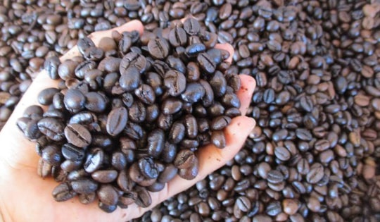 Giá cà phê hôm nay 6-3: Tăng tiếp, giá cà phê xuất khẩu vẫn hơn 4.000 USD/tấn