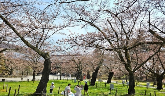 Con số bất ngờ về người Việt đi du lịch Nhật Bản