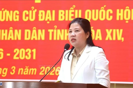 Cử tri vùng biên giới biển Quảng Ngãi tin tưởng, kỳ vọng vào người ứng cử đại biểu Quốc hội