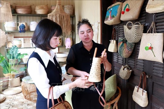 Phụ nữ Ninh Bình mở hướng khởi nghiệp, làm giàu