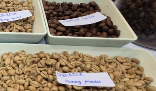 Giá cà phê hôm nay 7-3: Tăng tiếp, một loại cà phê đang được yêu thích vào vụ