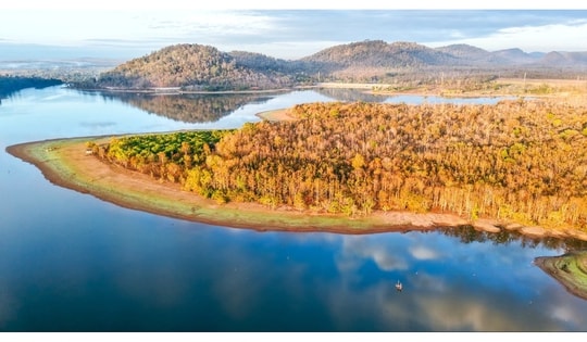 Đẹp ngỡ ngàng rừng khộp mùa thay lá