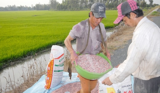 Xung đột Trung Đông khiến giá phân bón tăng mạnh, có tác động tới Việt Nam?