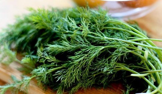 Ăn rau thì là đúng cách có thể mang lại nhiều lợi ích cho cơ thể