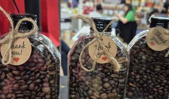 Giá cà phê hôm nay 8-3: Giá trên sàn tăng 3 con số, giá nội địa nhích nhẹ