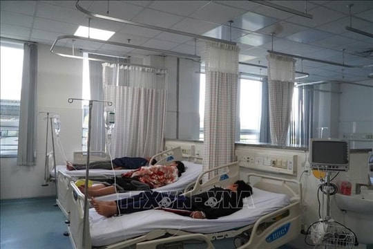 Vụ nghi ngộ độc bánh mì ở Vũng Tàu: Phát hiện vi khuẩn Salmonella trong nhiều mẫu bệnh phẩm