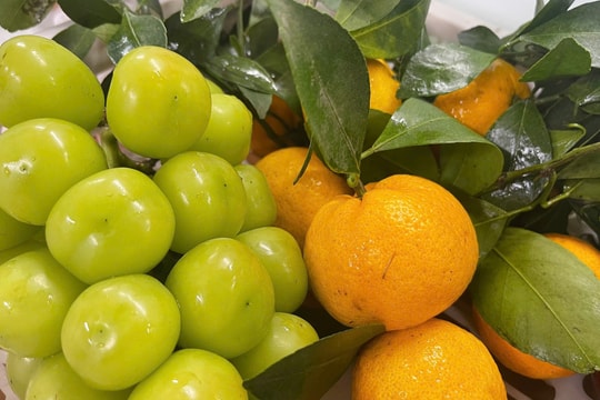 Ăn uống thế nào tốt cho gan và dạ dày