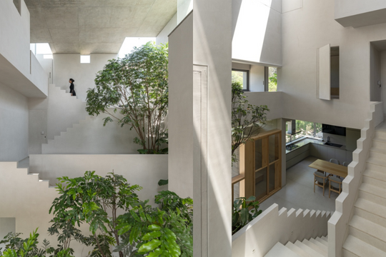 Ngôi nhà 500 m2 tổ chức không gian kiểu 'giếng bậc thang'