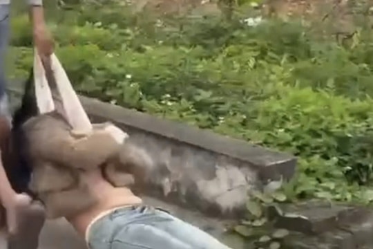 Người đánh, kéo lê bạn gái ở Hải Phòng bị triệu tập