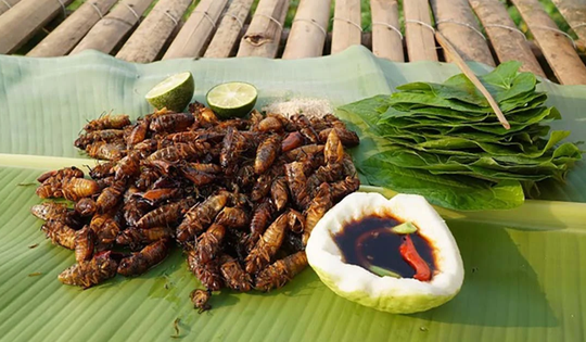 Con “re re” xưa không ai ngó, nay thành đặc sản Tây Bắc đắt đỏ, dân nhậu mê tít săn lùng