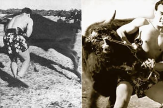 Huyền thoại karate Nhật Bản đấu 100 người, chặt gãy sừng bò tót