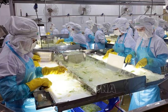 Bộ Công Thương đẩy mạnh loạt giải pháp hỗ trợ doanh nghiệp, hộ kinh doanh