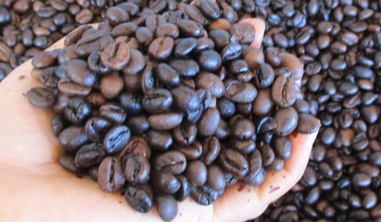 Giá cà phê hôm nay 10-3: Biến động trái chiều và xu hướng sắp tới