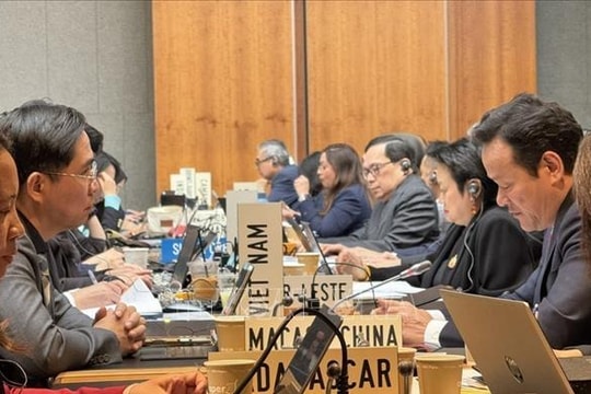 Việt Nam thúc đẩy đồng thuận hướng tới hội nghị Bộ trưởng WTO