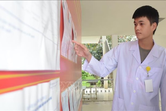 Thanh niên Huế tích cực tham gia công tác bầu cử