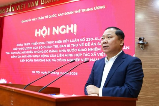 Triển khai Đề án sắp xếp, tinh gọn các hội quần chúng do Đảng, Nhà nước giao nhiệm vụ