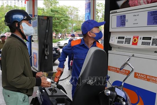 Hoàn thiện quy chuẩn kỹ thuật, thúc đẩy triển khai xăng sinh học E10 trên toàn quốc