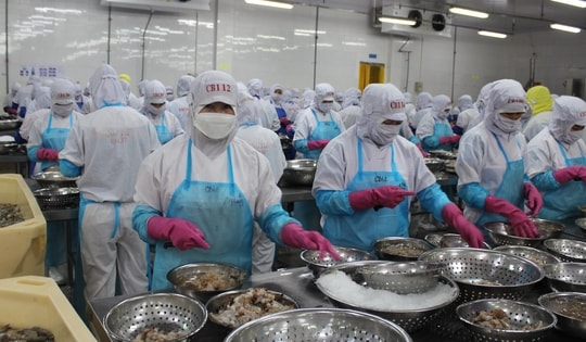 Xuất khẩu nông, lâm, thủy sản có thể giảm hàng tỉ USD vì xung đột ở Trung Đông