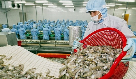 Xuất khẩu thủy sản 2 tháng đầu năm 2026 đạt 1,7 tỷ USD, tăng 20%
