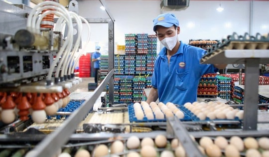 Nỗ lực giữ giá hàng hóa