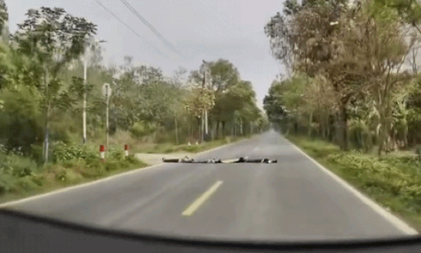 Ôtô suýt cán qua 4 đứa trẻ nằm dài giữa đường