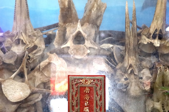 Nơi thờ xương cá voi suốt 200 năm ở Quy Nhơn