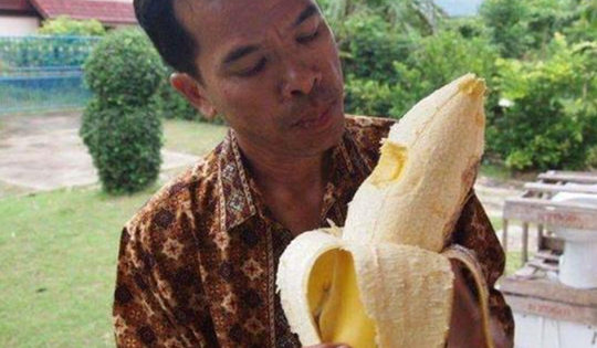 Giống chuối "khổng lồ" kỳ lạ nhất thế giới, cây cao gần bằng tòa nhà 8 tầng, ăn một quả no cả ngày