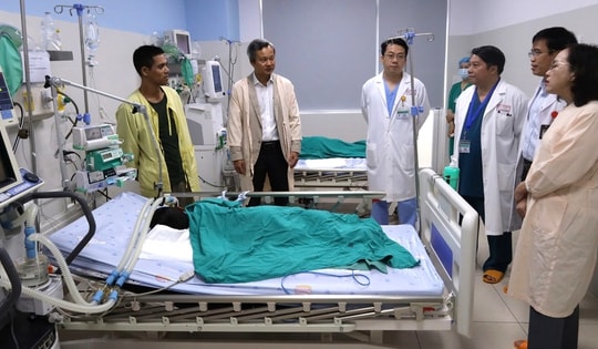 Cuộc chạy đua đưa "thần dược" giải độc 8.000 USD cứu bệnh nhi ngộ độc cá ủ chua