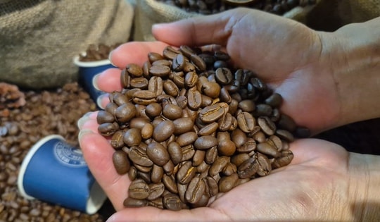 Giá cà phê hôm nay 12-3: Bốc hơi 3 con số bất chấp Brazil xuất khẩu giảm gần 23%