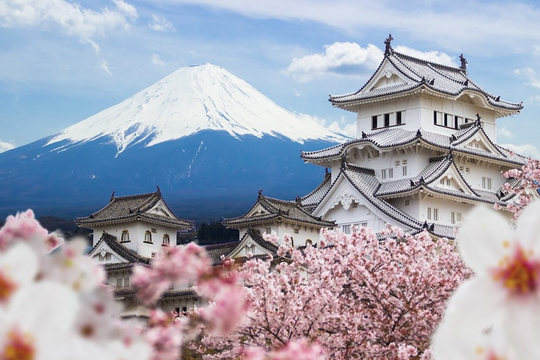 Gen Z sáng tạo kết nối văn hóa Việt Nam - Nhật Bản