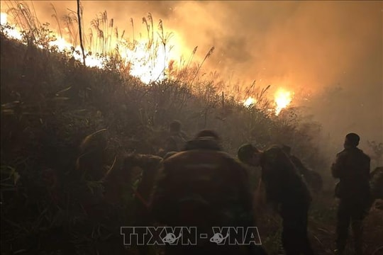 Kịp thời khống chế đám cháy rừng ở Quảng Ninh