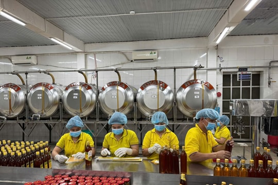 Doanh nghiệp TP Hồ Chí Minh kỳ vọng đại biểu đồng hành phát triển kinh tế