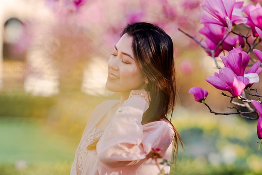 Hoa mộc lan nở rộ trong vườn Hoàng Gia ở Paris