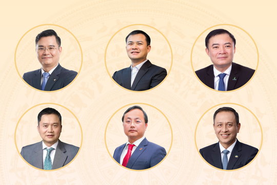 Những lãnh đạo doanh nghiệp ứng cử đại biểu Quốc hội