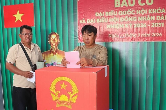 Bầu cử ở đảo Hòn Khoai, Hòn Chuối