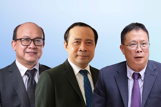 Những nhà khoa học ứng cử đại biểu Quốc hội