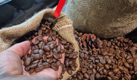 Giá cà phê hôm nay 13-3: Điều gì khiến Robusta và Arabica bật tăng rất mạnh?