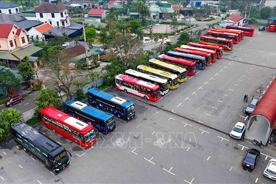 Doanh nghiệp vận tải điều chỉnh hoạt động để giữ giá cước