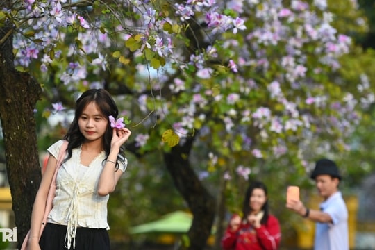 Hà Nội lãng mạn mùa hoa khoe sắc