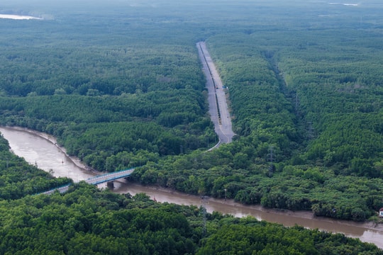 Cần Giờ - điểm đến chạy bộ 'xuyên rừng, kề biển'
