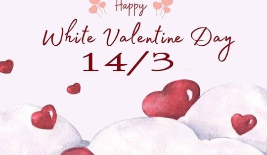 Những lời chúc ngày Valentine 14/3 hay nhất 2026