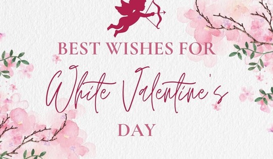 Những mẫu thiệp Valentine 14/3 - Valentine trắng đẹp nhất 2026