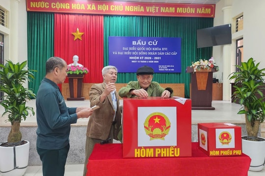 Những cử tri ở tuổi 'xưa nay hiếm' đi bầu cử sớm