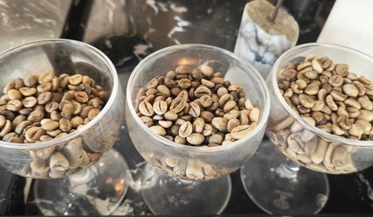 Nghịch lý: Nước không trồng cây cà phê nào lại có nhiều thương hiệu cà phê mạnh toàn cầu