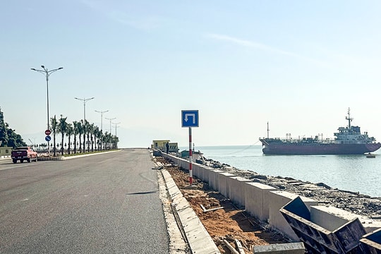 Liên danh Việt - Hà Lan đầu tư bến cảng container Liên Chiểu gần 1,8 tỷ USD